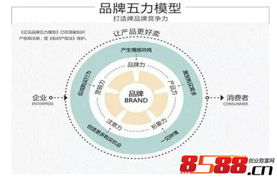 网络时代品牌建设与传播的快速通道 策略与实践
