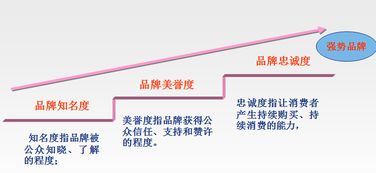 品牌管理 构建持久竞争力的关键——基于余伟萍教授的理论解析
